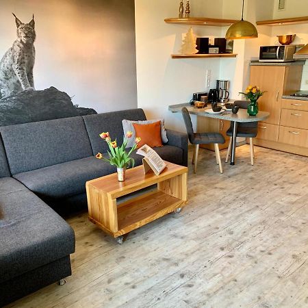 Luchsbutze Appartement Sankt Andreasberg Buitenkant foto