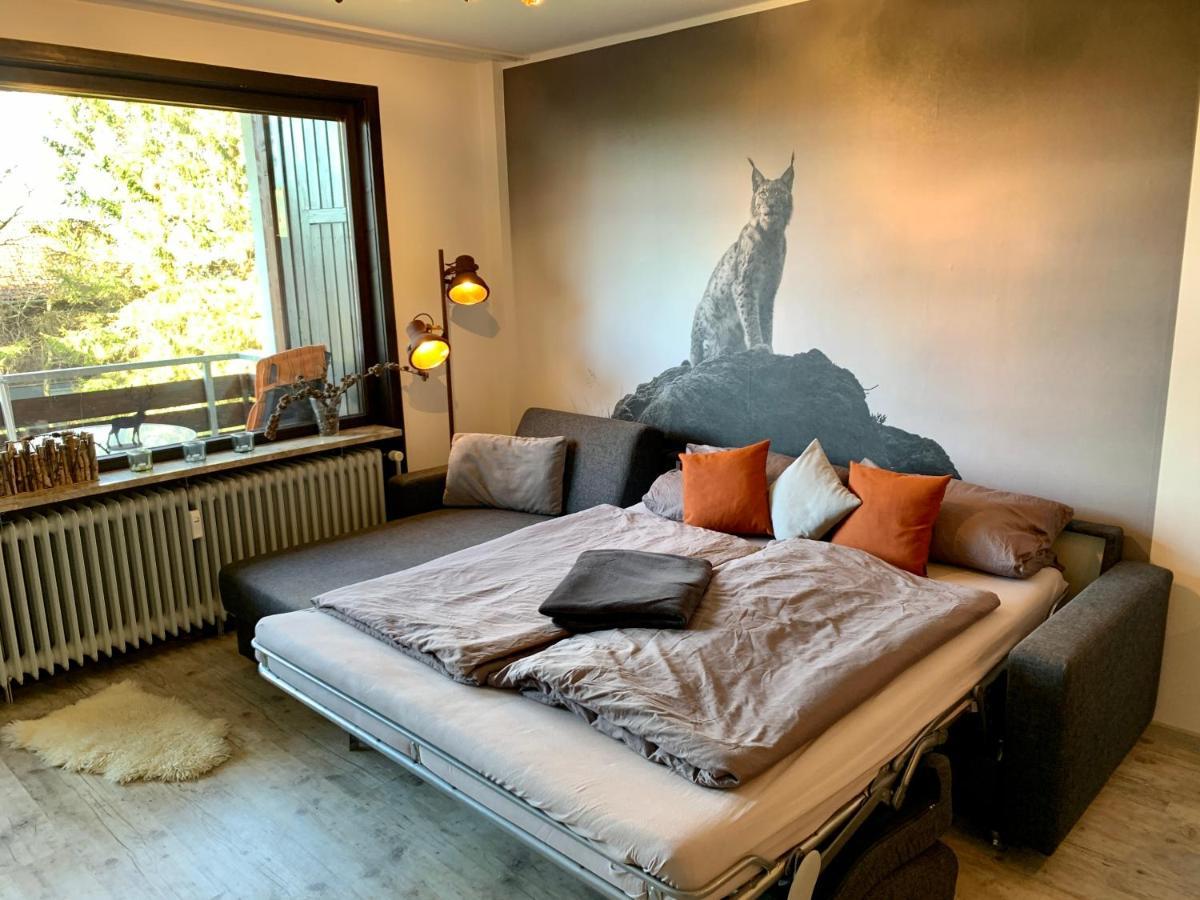 Luchsbutze Appartement Sankt Andreasberg Buitenkant foto