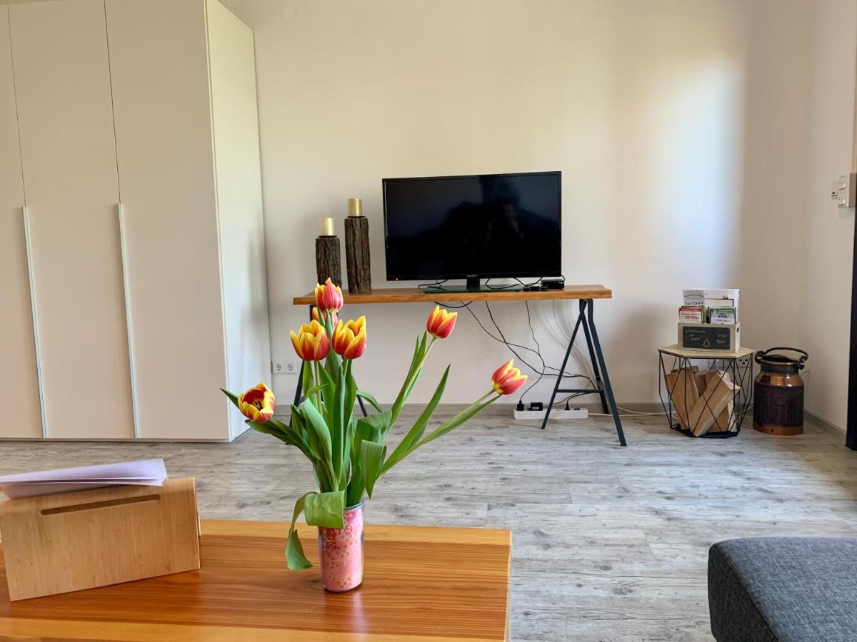 Luchsbutze Appartement Sankt Andreasberg Buitenkant foto