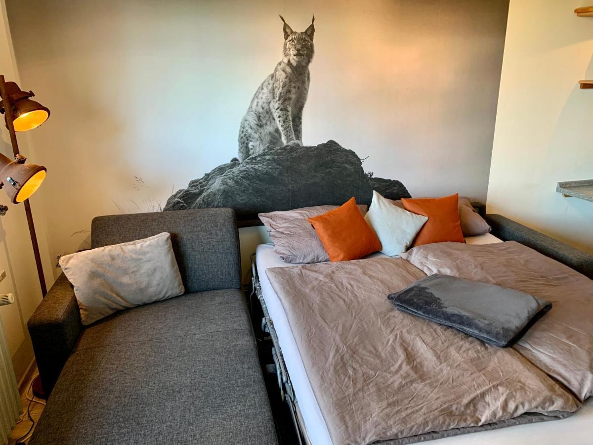 Luchsbutze Appartement Sankt Andreasberg Buitenkant foto