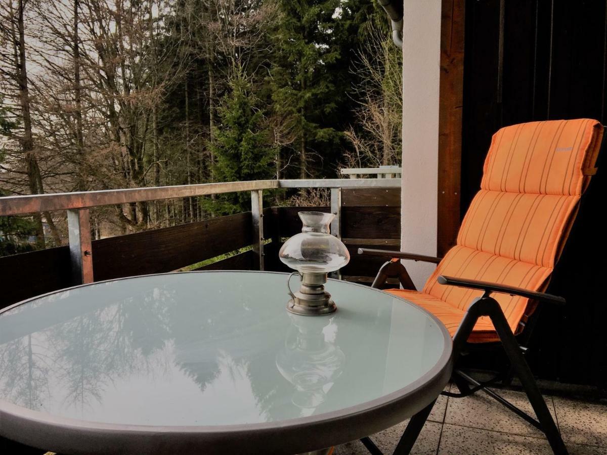 Luchsbutze Appartement Sankt Andreasberg Buitenkant foto